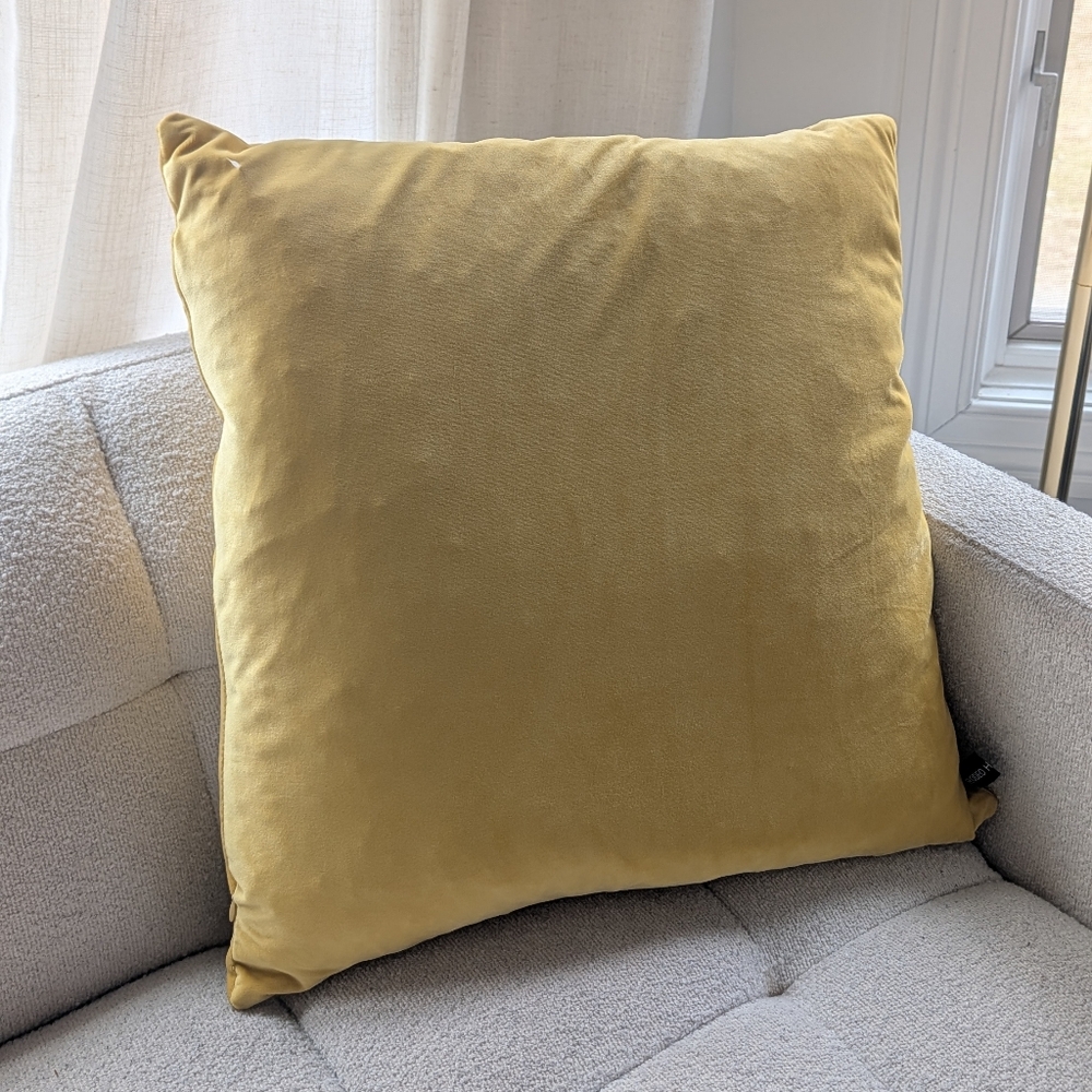 Rodeo Home Feather Filled Decorative Velvet Pillow, 19" x 19"